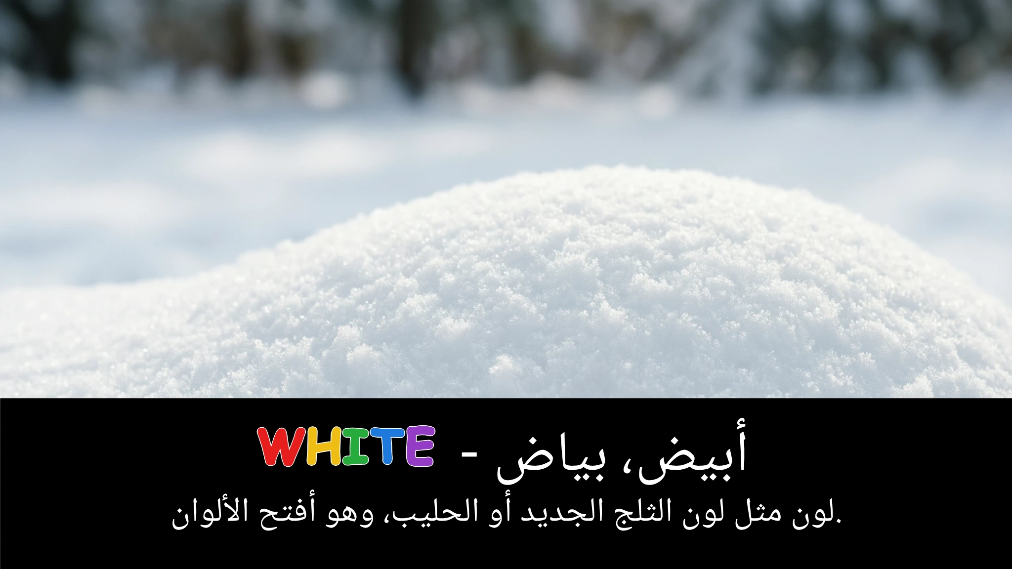 Arabic Illustration for white